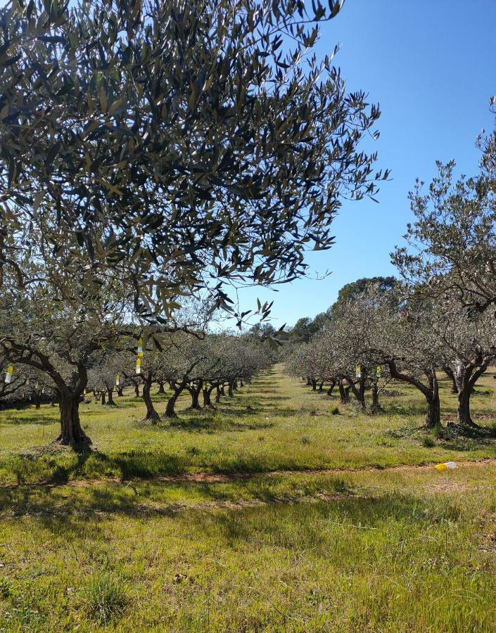 Les Hauts Du Peireguier La Motte  Bagian luar foto
