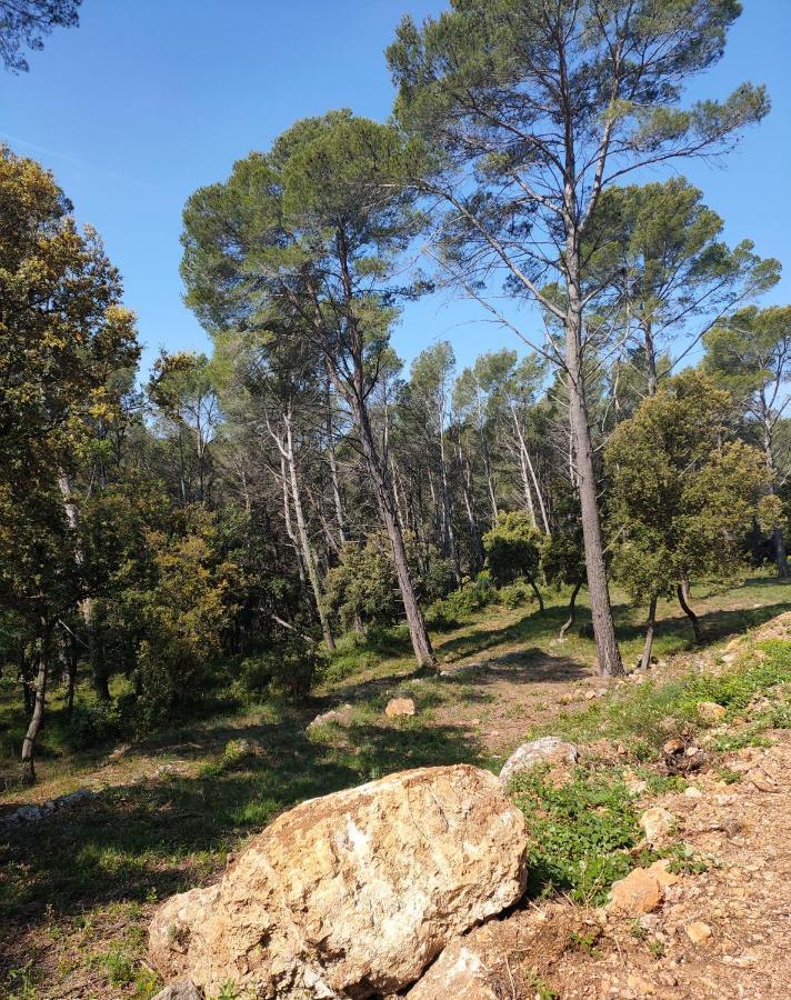 Les Hauts Du Peireguier La Motte  Bagian luar foto